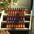 Pack de 24 kombuchas Khe en botellas de vidrio, bebidas fermentadas artesanales listas para compartir o abastecerse.