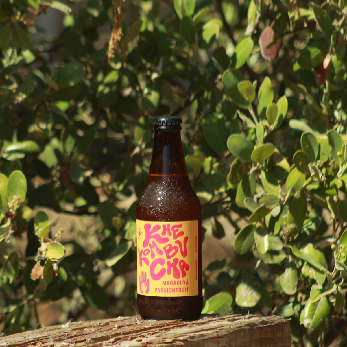 Kombucha de Maracuya 330ml